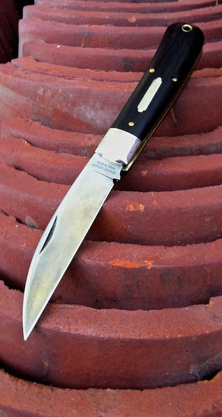 mq9d.jpg