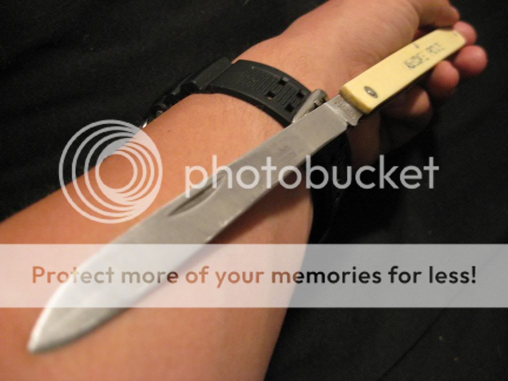 IMG_0510_zpsa9f6688c.jpg