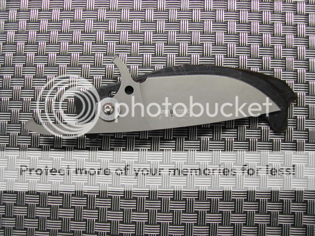 DSCN5022.jpg