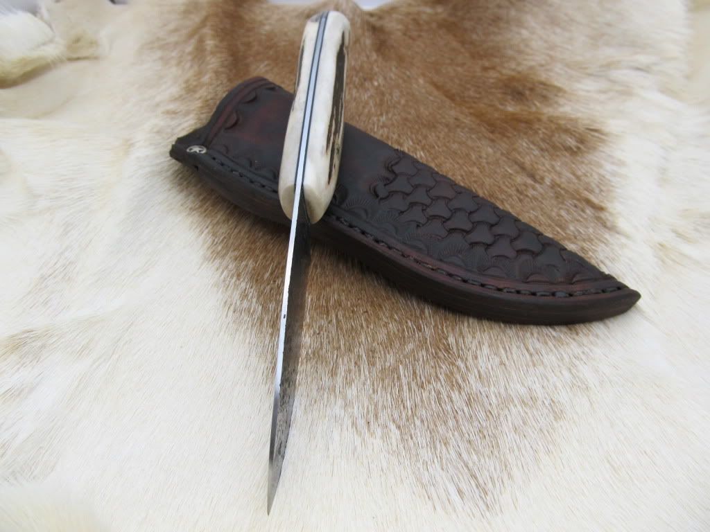 MiseryStag008.jpg