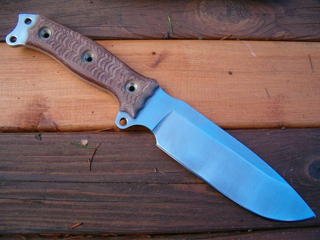 sfno3.jpg