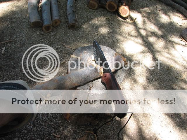 b4.jpg