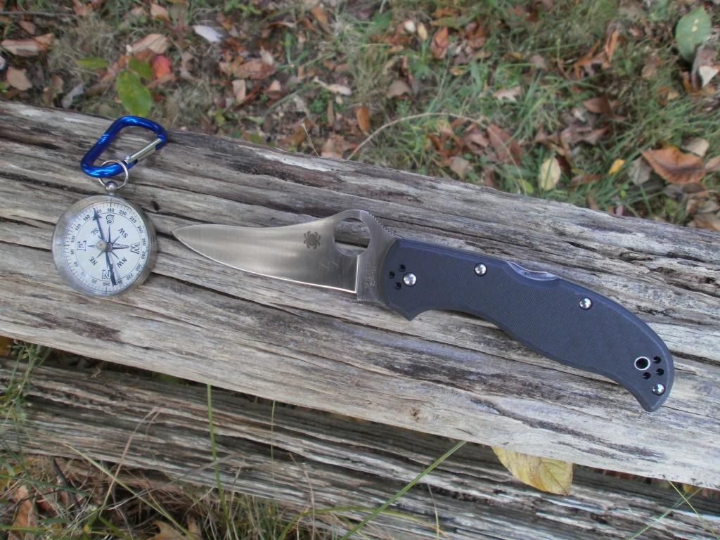 PA110149_zps70b4966f.jpg