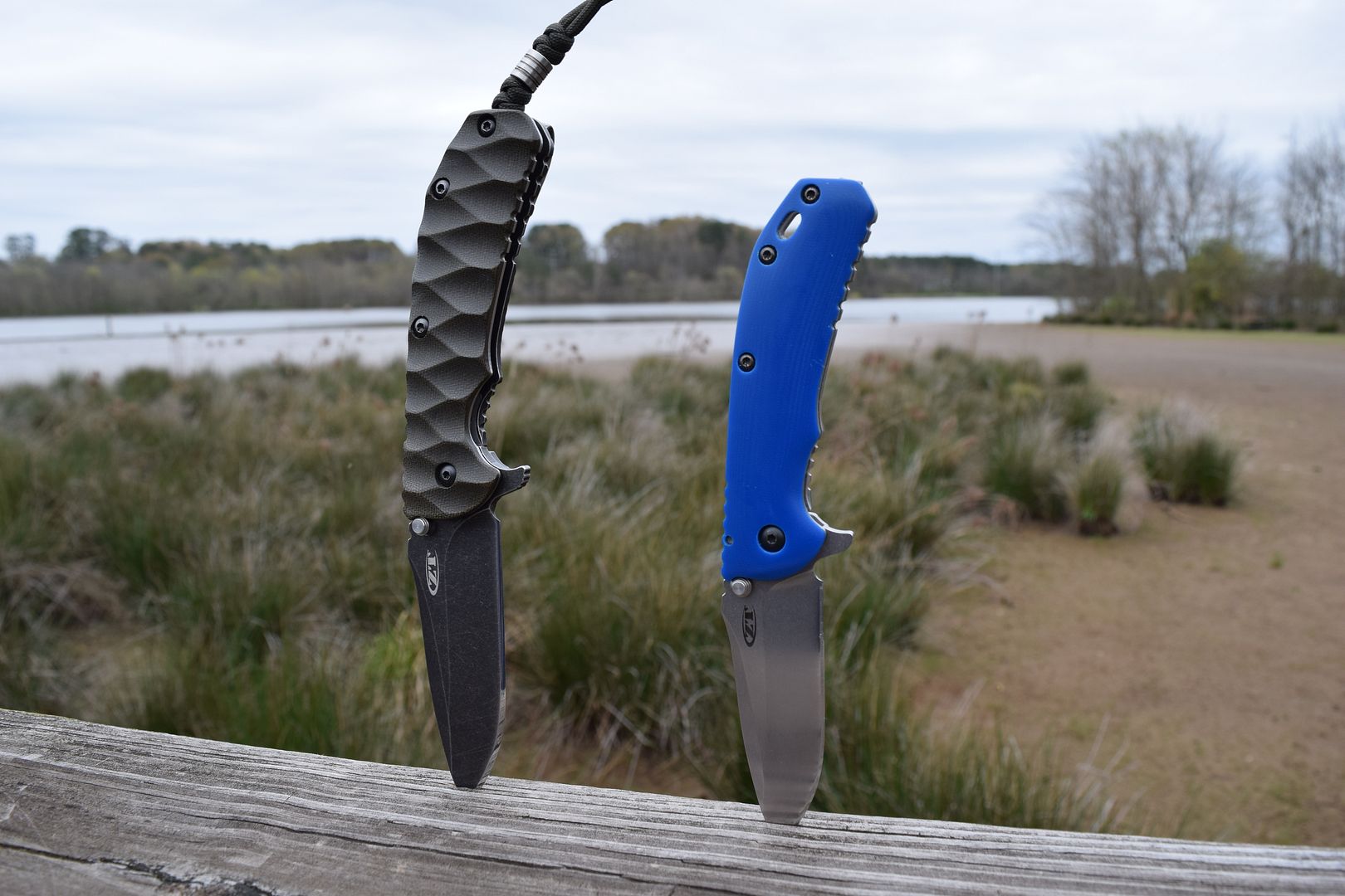 DSC_0456_zpsk60fsjw4.jpg