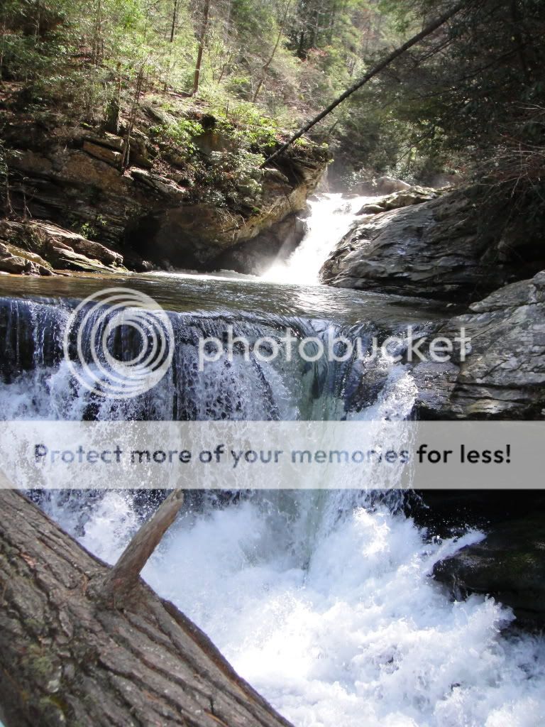 DSC00410.jpg