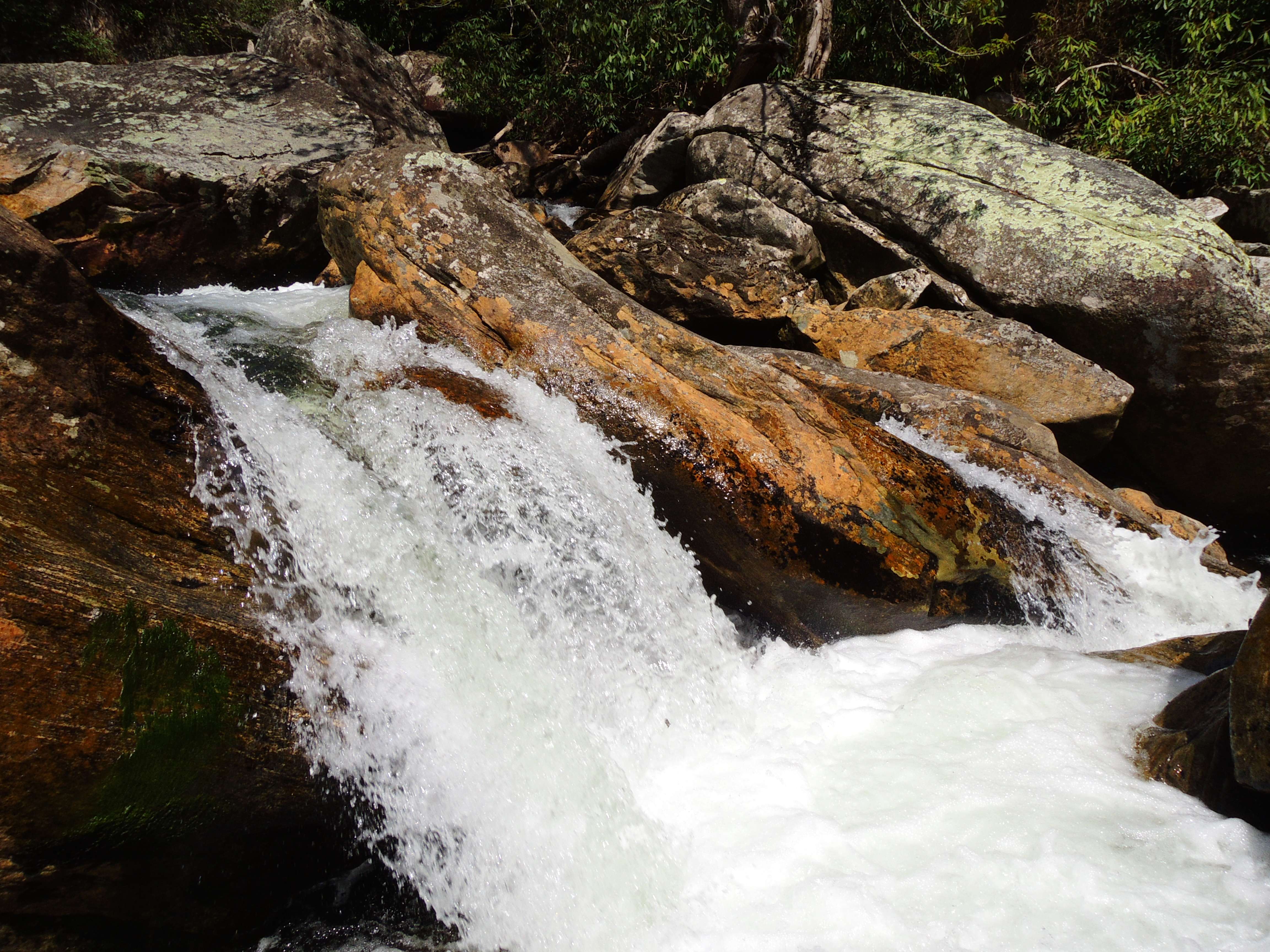 dscn0207s.jpg