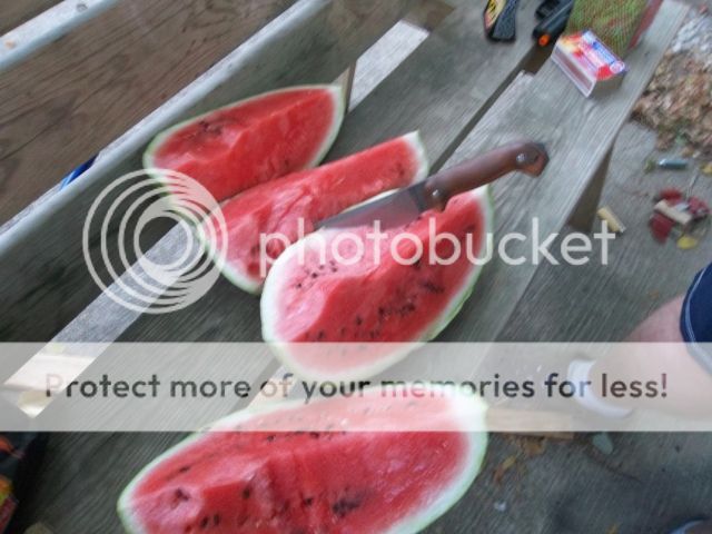 100_3303.jpg