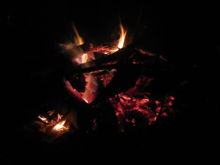 88924de5.jpg
