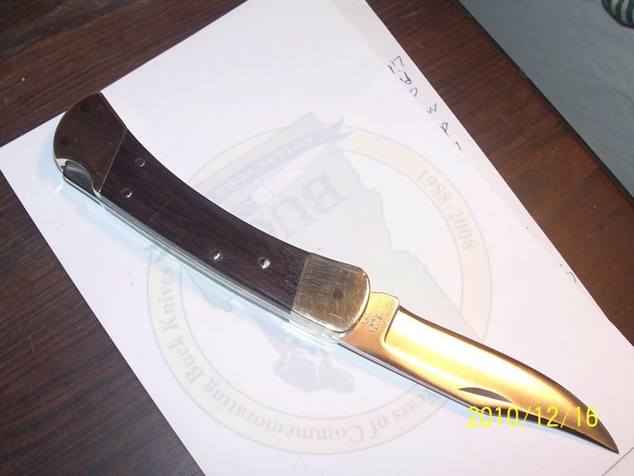Davids110b.jpg