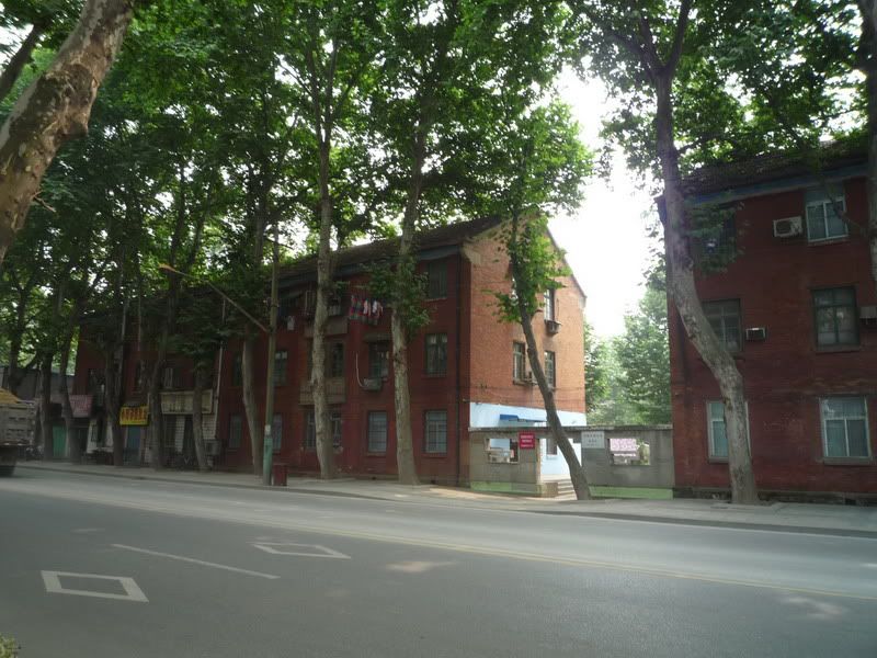 P1070482.jpg