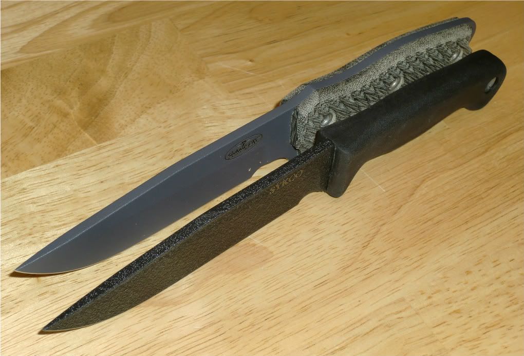 CIMG9476.jpg