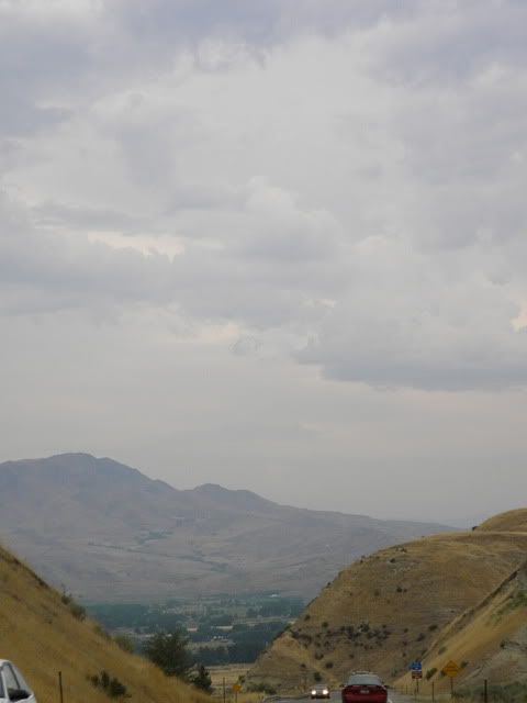 DSCN5431.jpg