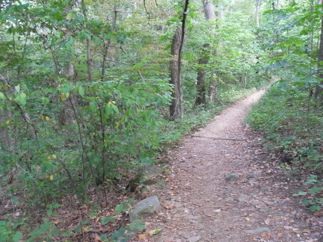 SDC11460.jpg