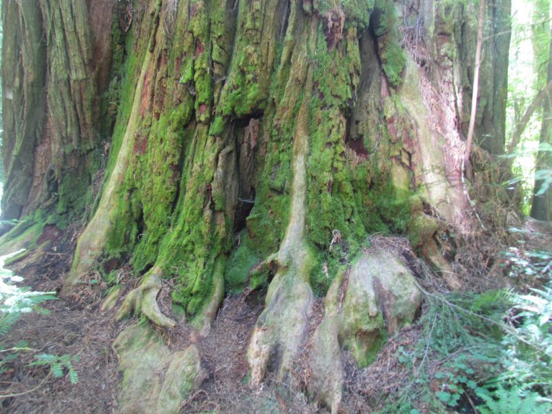 13_zpsff544222.jpg
