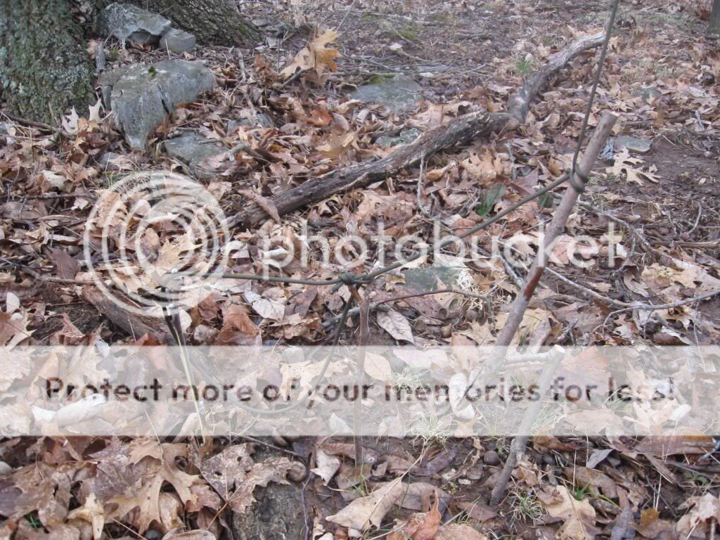 IMG_4710_zps4e29ef5e.jpg