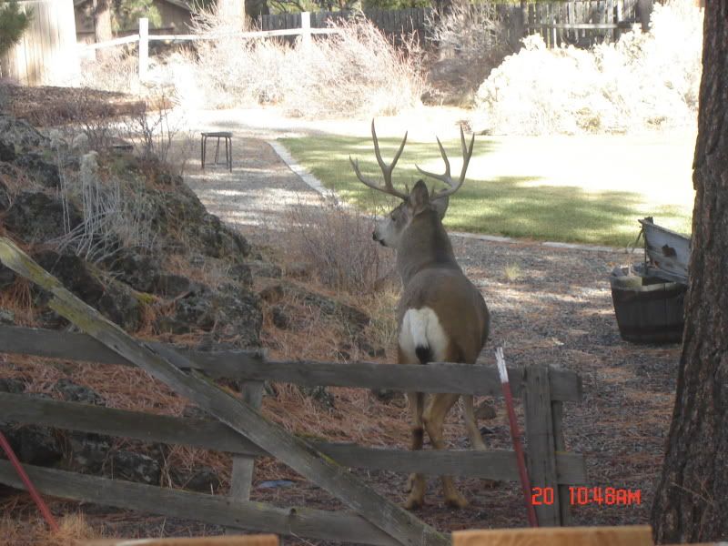 DSC01094.jpg