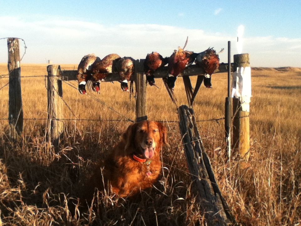 NDhunt2012008_zpscd21e006.jpg