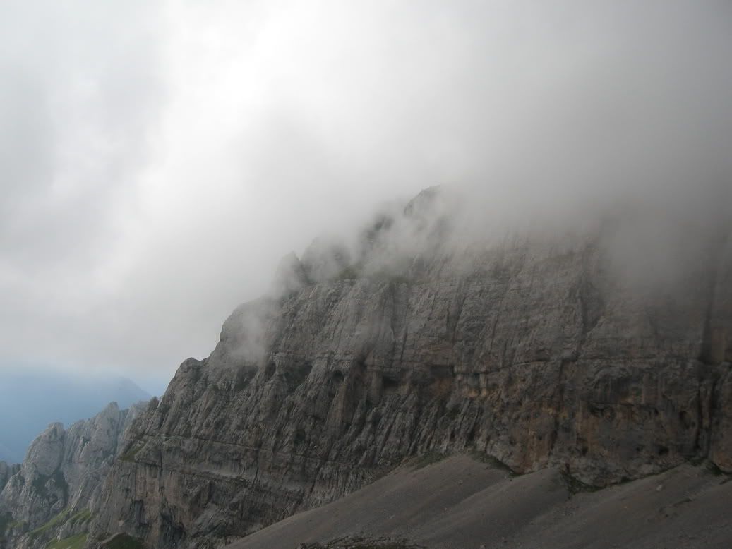 IMG_2003_resize.jpg