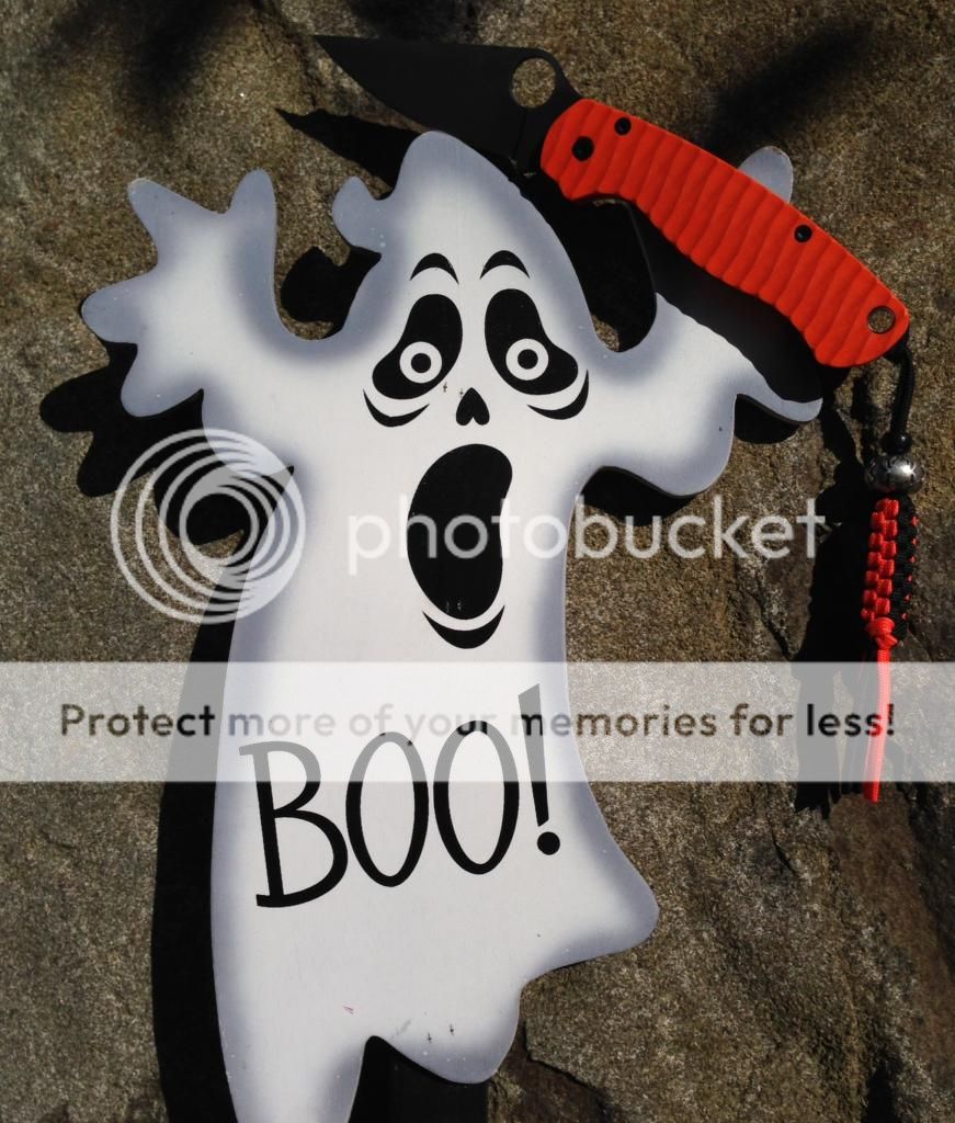 Boo_zpsb681a2da.jpg