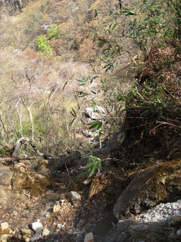 TogataHikeApr2011039.jpg