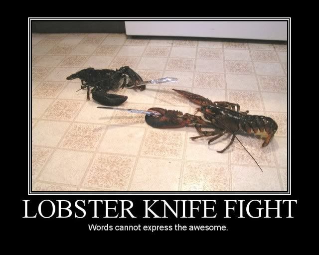 lobster.jpg