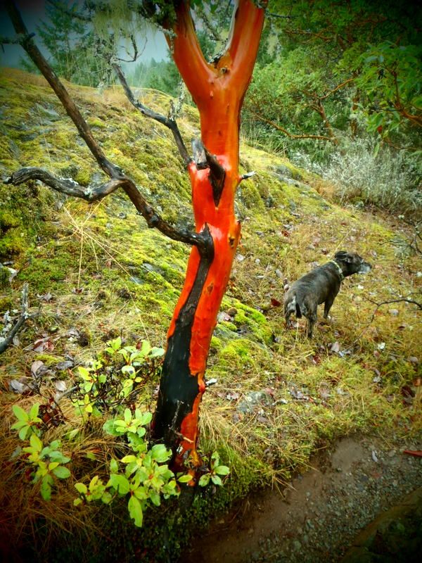 MtWork2012021.jpg