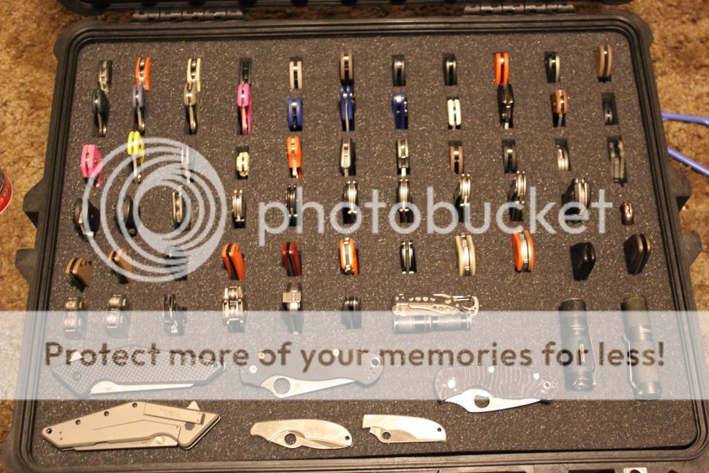 IMG_1541.jpg