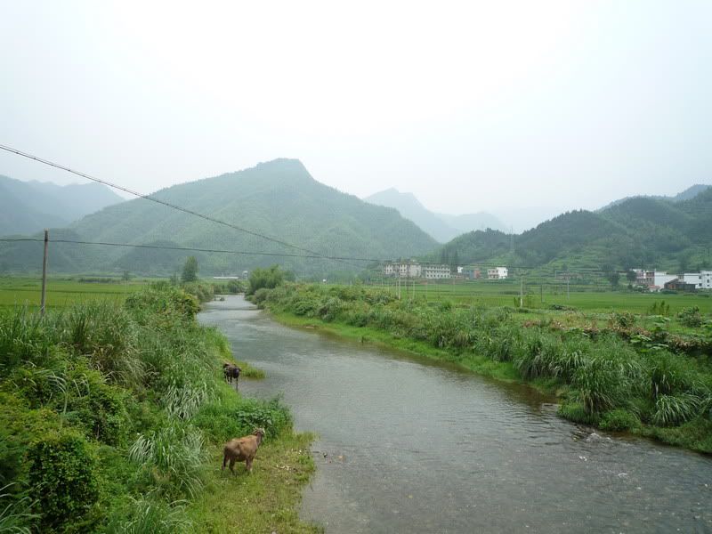 P1000949.jpg