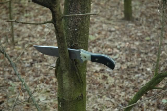 Afbeelding001.jpg