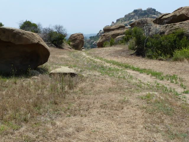 P1000283.jpg