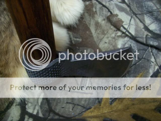 newpics418.jpg