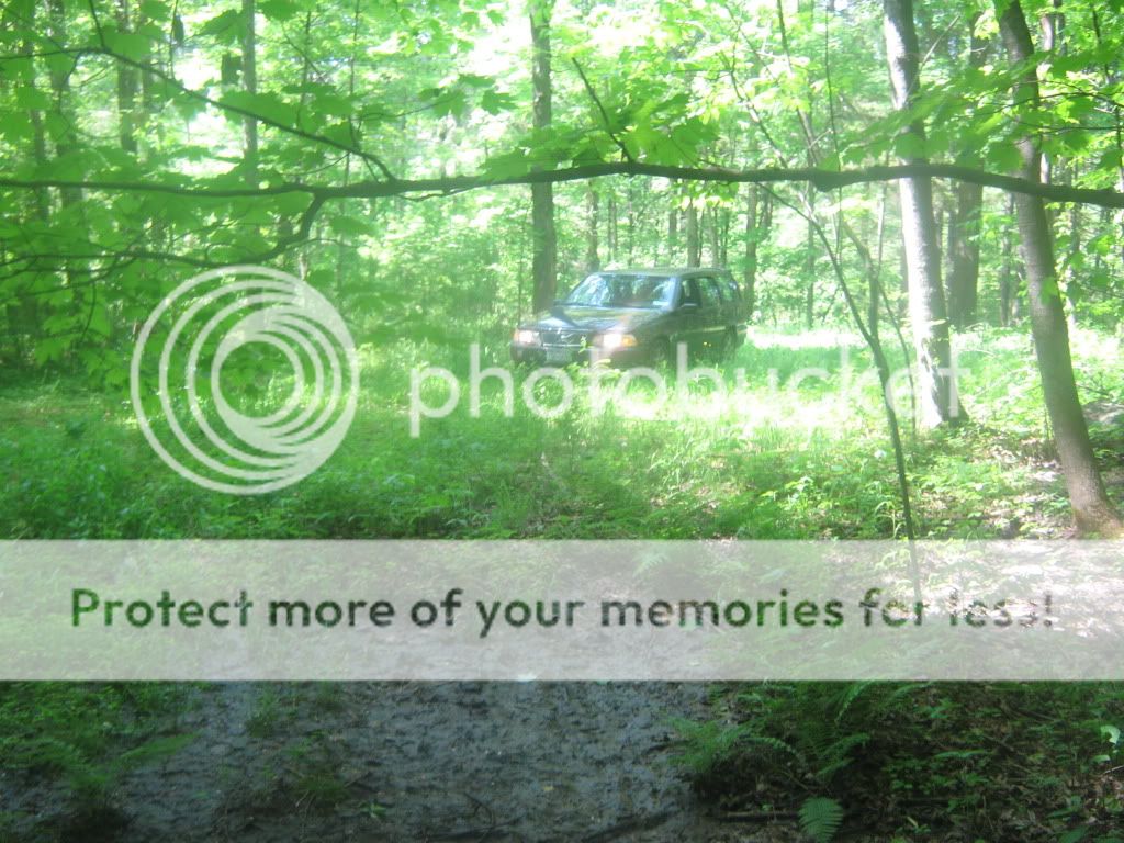 IMG_2867.jpg