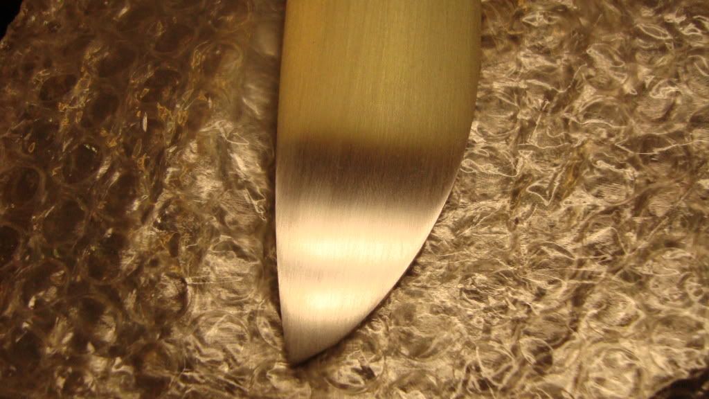 DSC00927.jpg