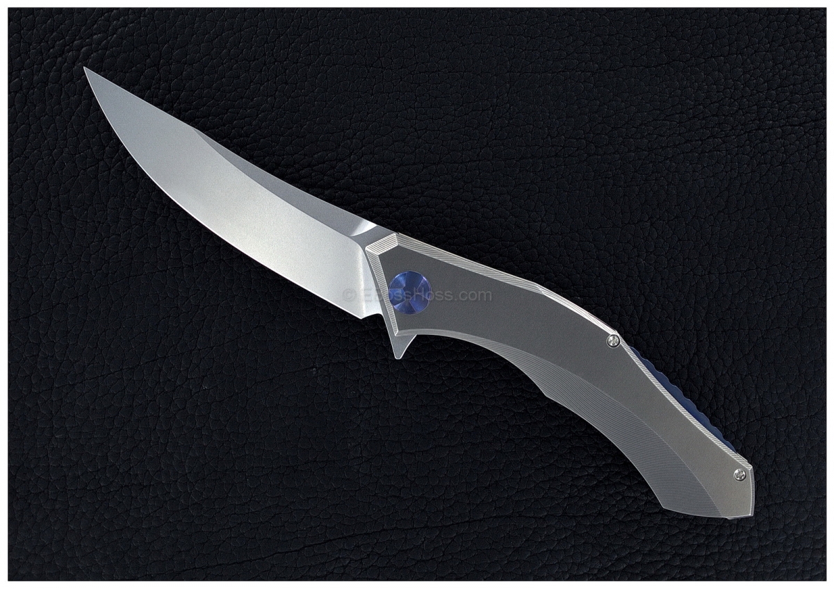 dmitrysidismrbsflipper-01.jpg