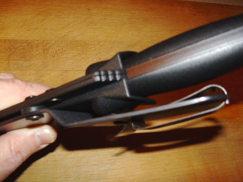 PICT0368.jpg