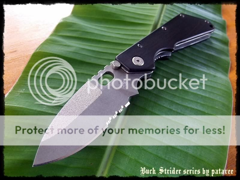 striderDSCF9162.jpg