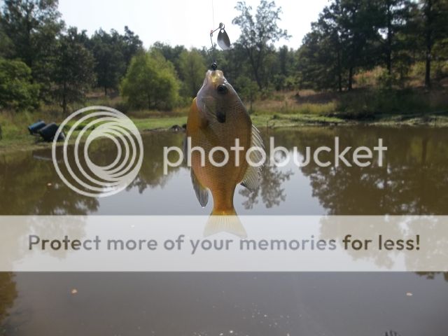 100_3034.jpg
