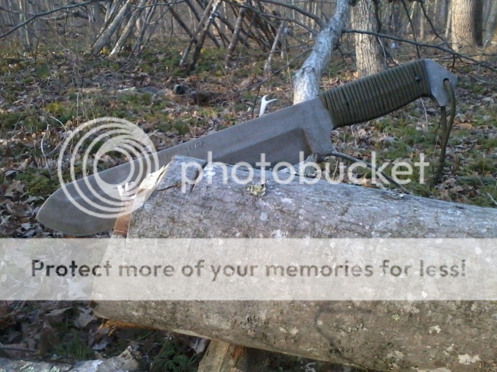 HD10vstree_zps410a8fa8.jpg