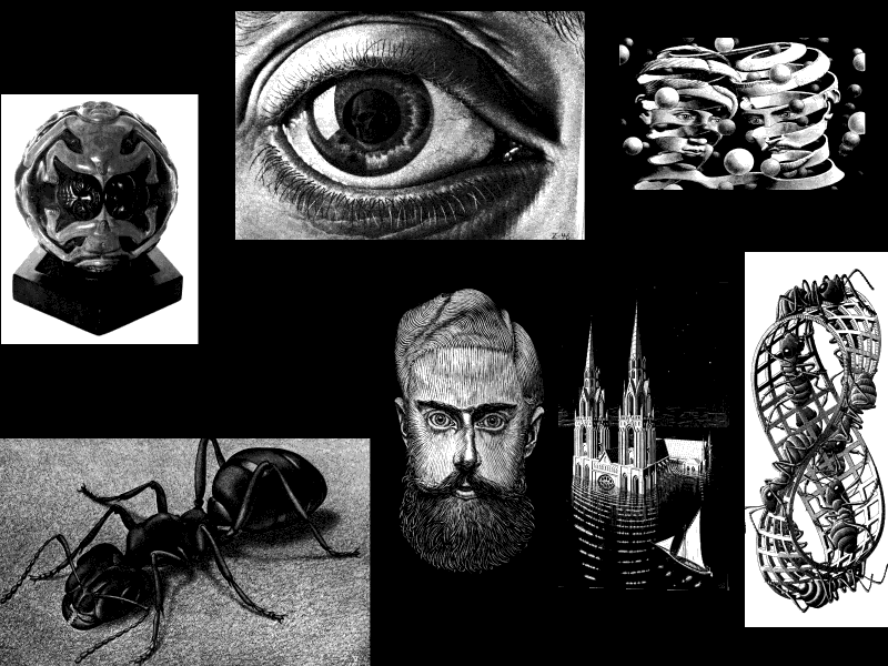 escher_montage.gif