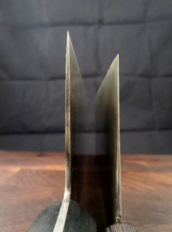 8310357200_c79d8de5d0_c.jpg