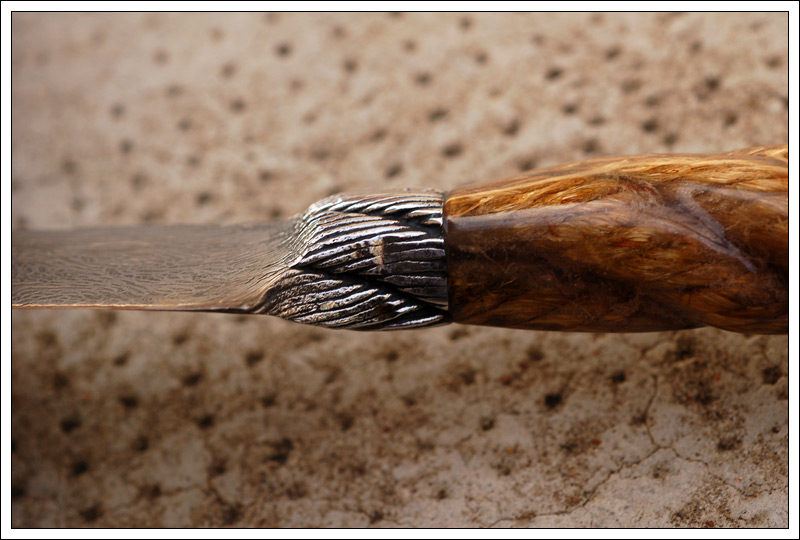 cablesoga8.jpg