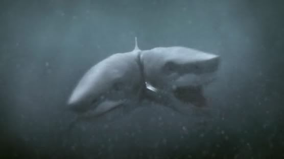 2headedshark7a.jpg