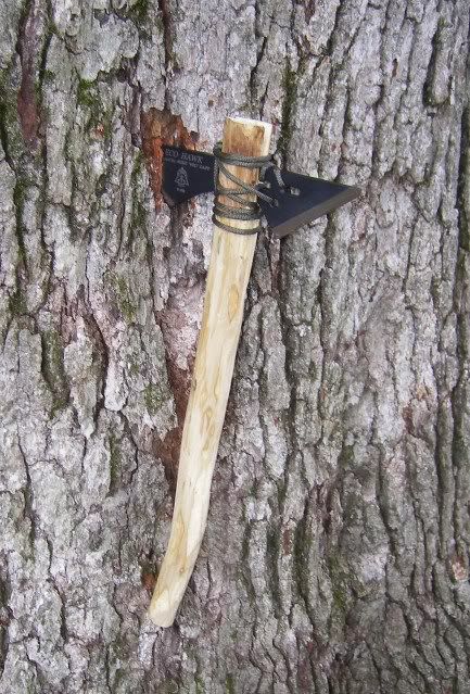 ecohawk024.jpg