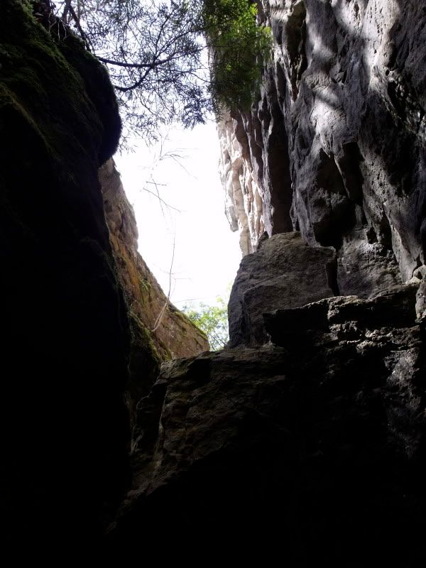 DSCF2298.jpg