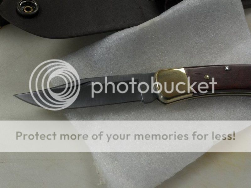 photobucket-10608-1339327569541.jpg