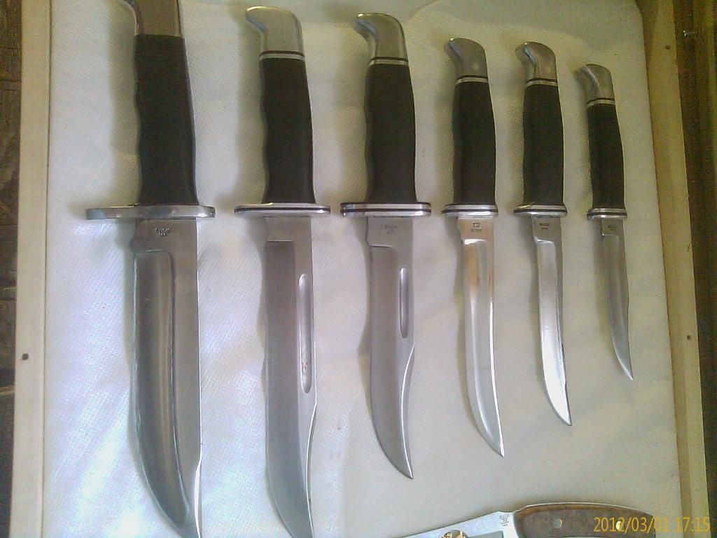 IMAG0260.jpg