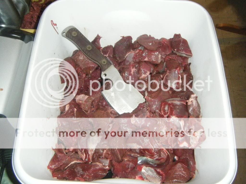 DSCF9536.jpg