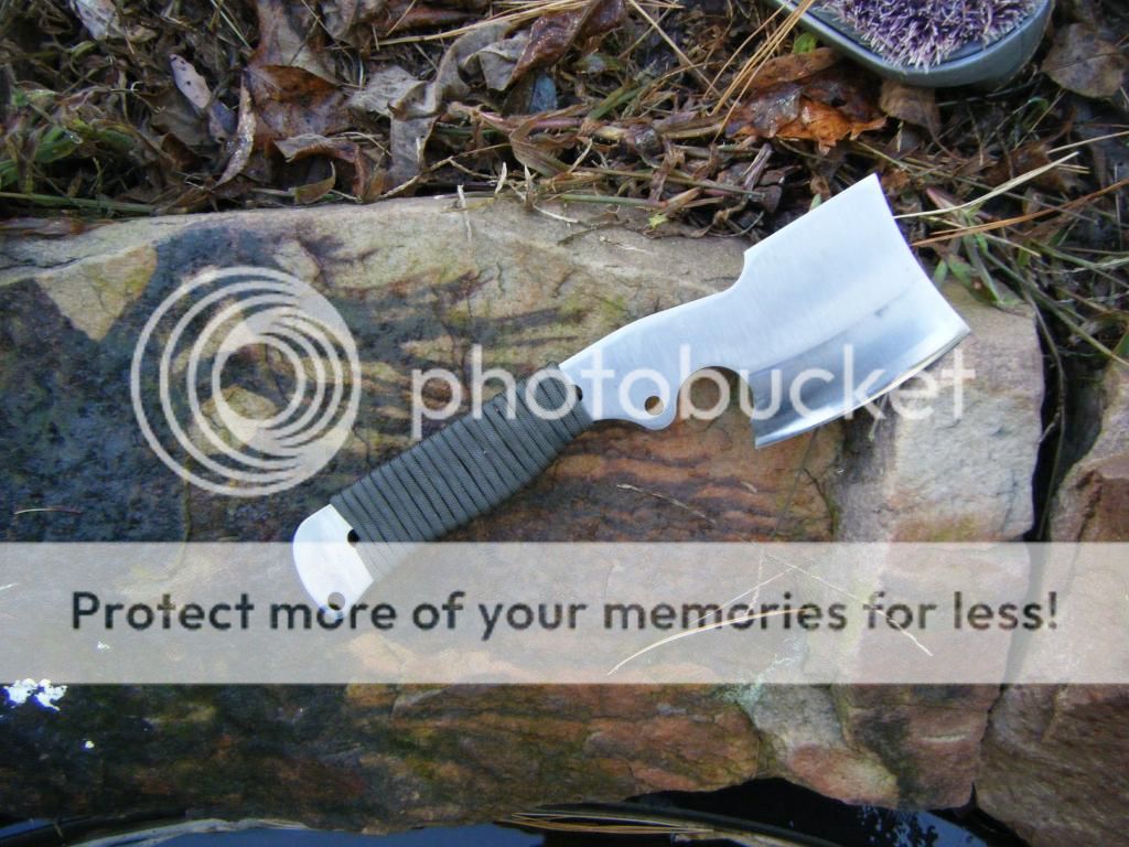 DSCF2420_zpsbf9def1f.jpg