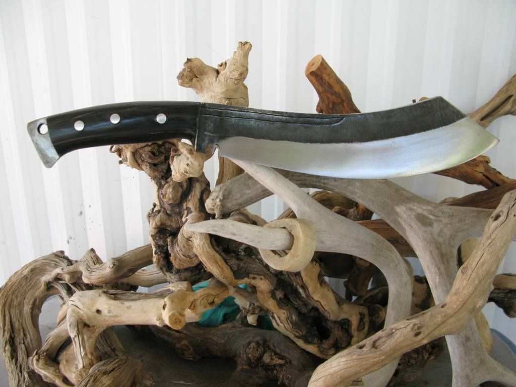 6-29-12010.jpg