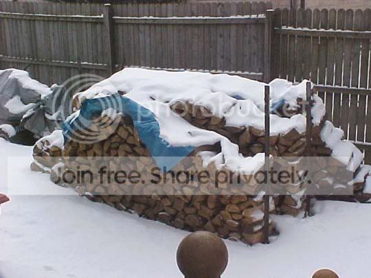 winter1.jpg